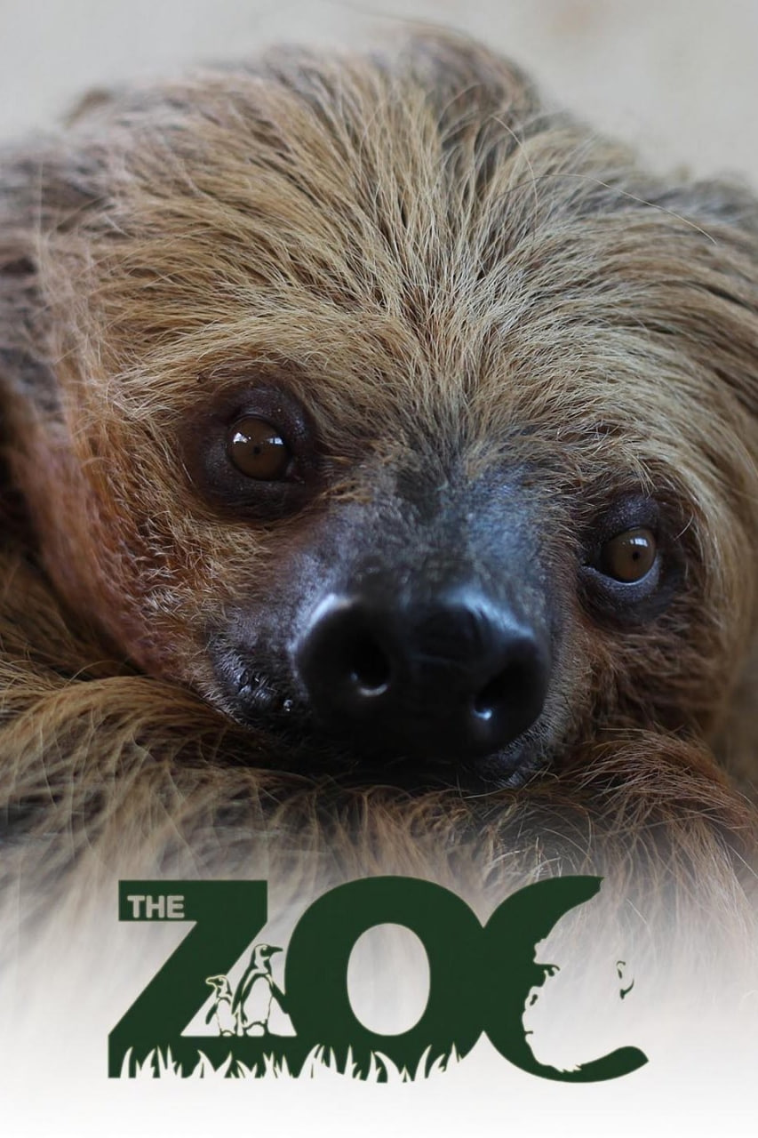 動物園 第七季(2017)海報
