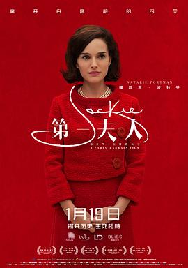 第一夫人2016(2016)海報
