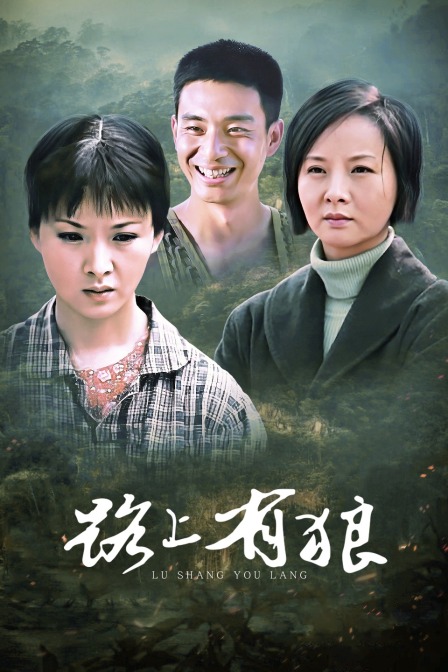 路上有狼(2009)海报