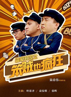 盗爱时空之笨贼也疯狂(2017)海报