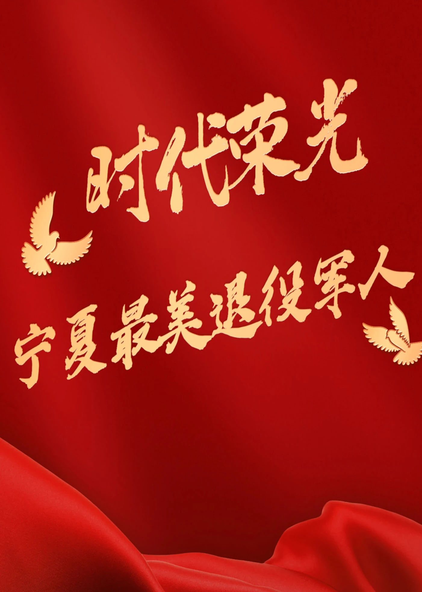宁夏首届“最美退役军人”发布仪式完整视频!海报