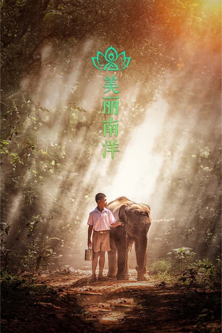 美丽南洋(2025)海报