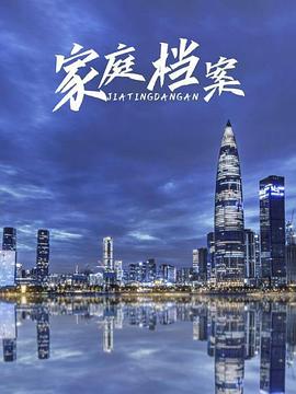 家庭档案(2008)海报