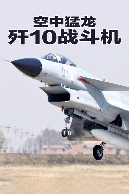 空中猛龙歼10战斗机(2023)海报