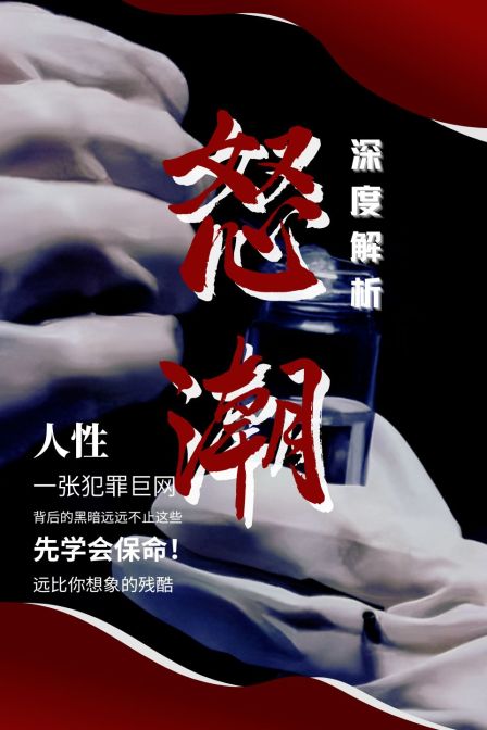 怒潮 深度解析(2023)海报