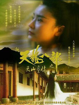 新天龍八部之天山童姥(國語版)(1994)海報