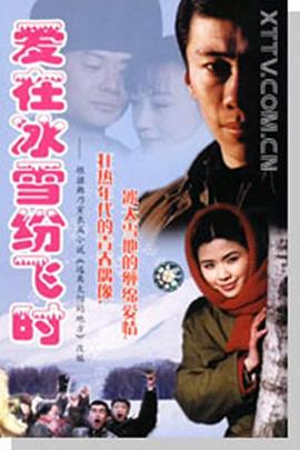 愛在冰雪紛飛時(2000)海報