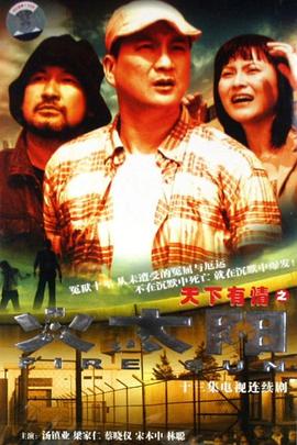 天下有情之火太陽國語(2005)海報