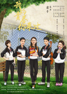 我的青春你來過(2017)海報