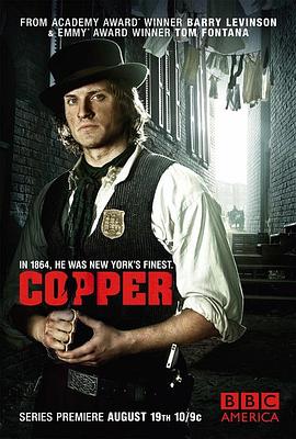 纽约警察故事第二季(2012)海报