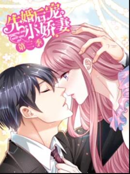 先婚后宠小娇妻第三季(2021)海报