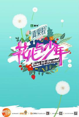 花兒與少年 第四季(2014)海報