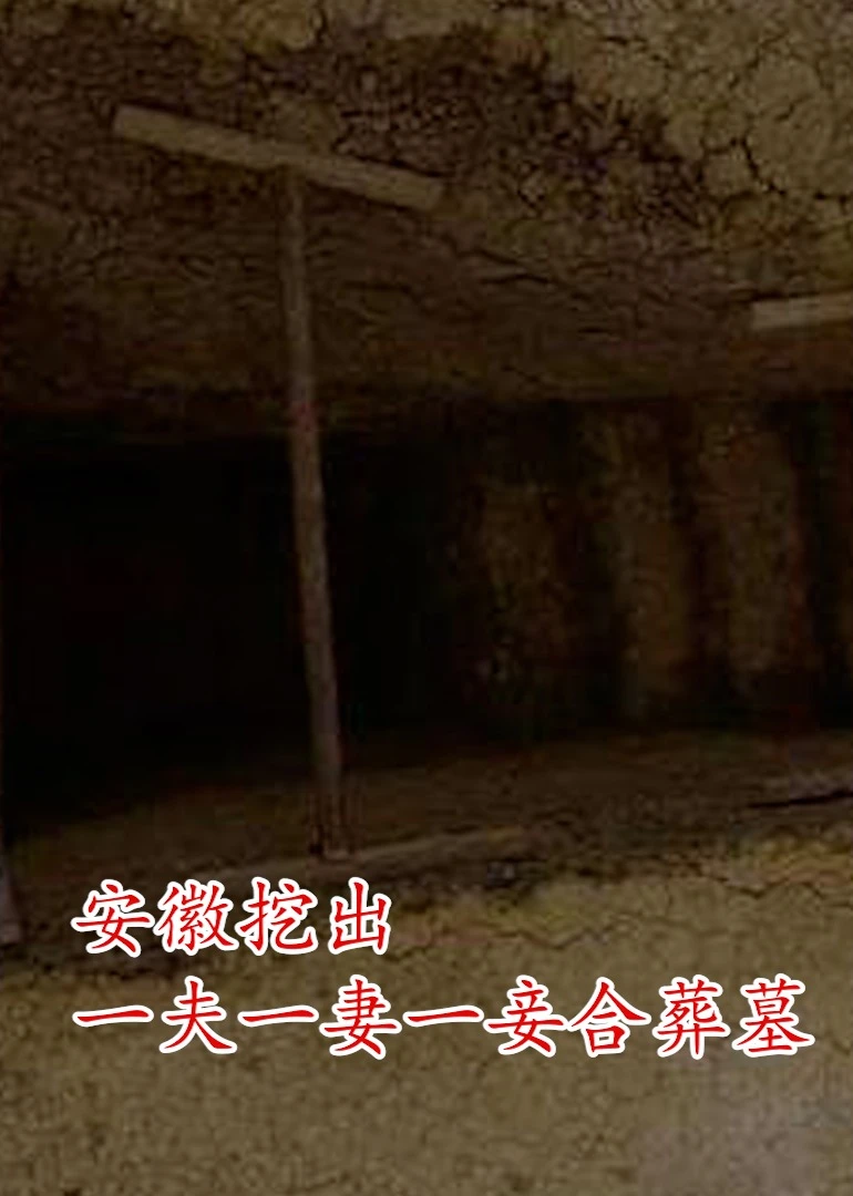 安徽挖出一夫一妻一妾合葬墓海报
