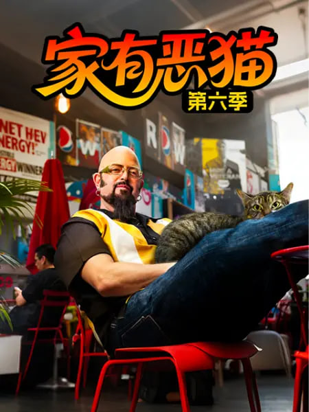 家有恶猫 第六季(2011)海报