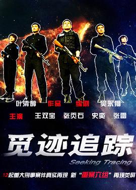 觅迹追踪(2009)海报