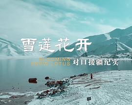 雪莲花开——对口援疆纪实(2021)海报