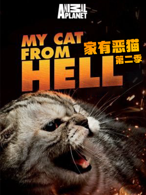 家有恶猫第二季(2011)海报
