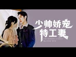 少帅娇宠特工妻(2023)海报