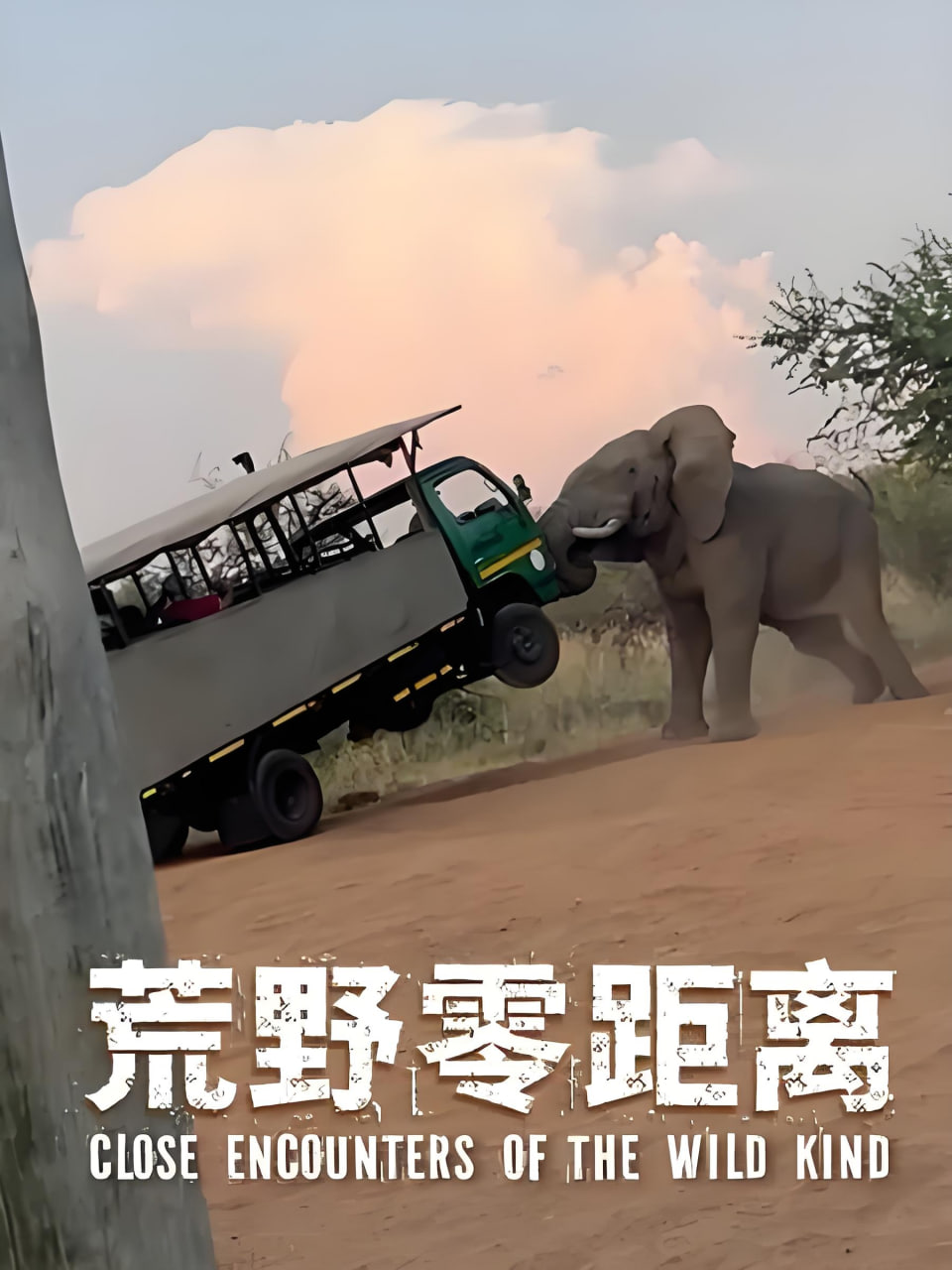 荒野零距离(2026)海报