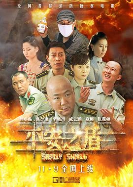平安之盾(2014)海报