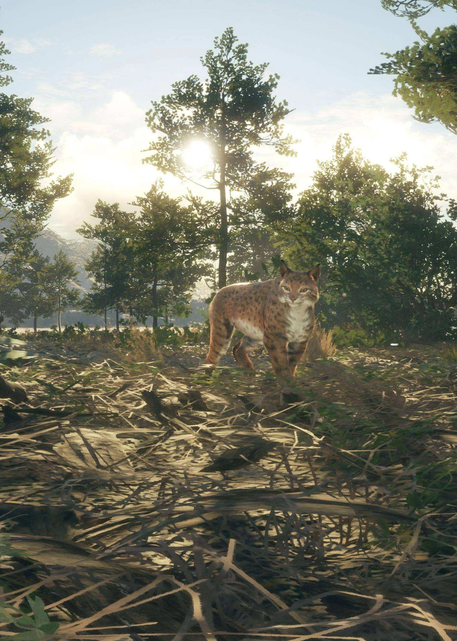 世界荒野狩獵海報