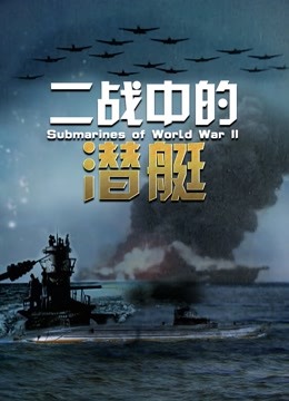 二战中的潜艇(2021)海报