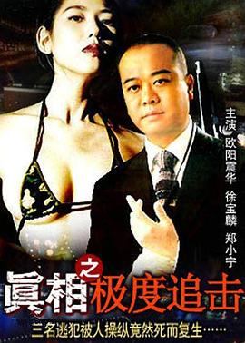 真相之極度追擊(1993)海報