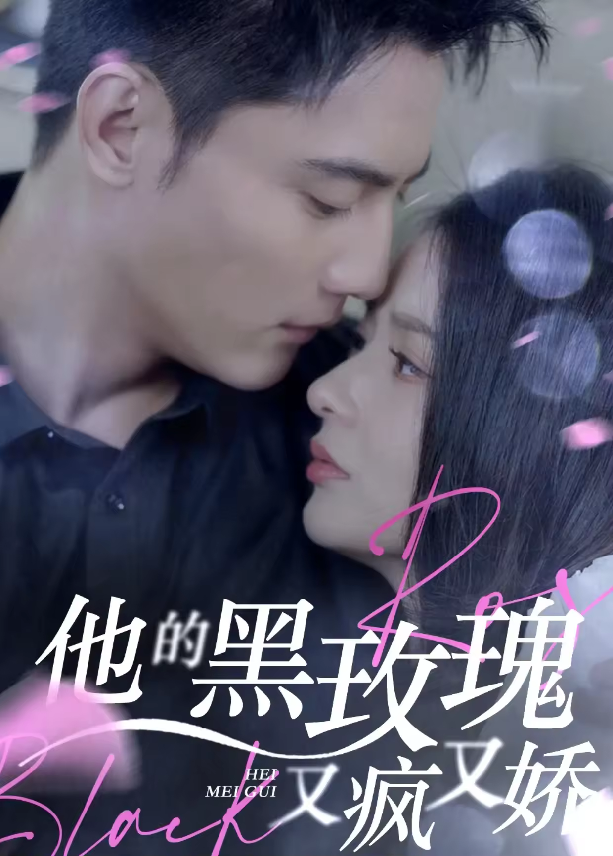 他的黑玫瑰又疯又娇海报