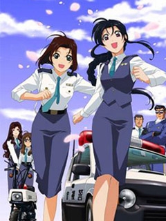 逮捕令第二季(1996)海報