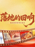 落地的回响(2026)海报