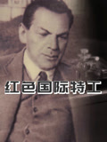 紅色國際特工(2015)海報