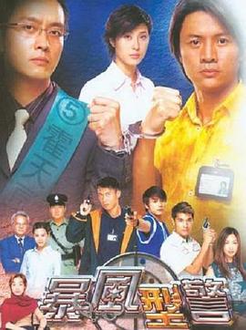 暴风刑警国语(2003)海报