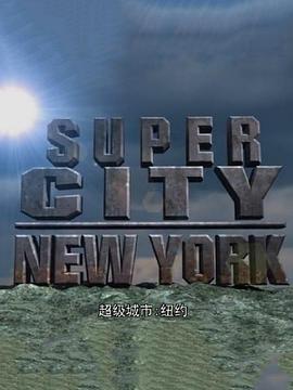 超級城市紐約(2008)海報