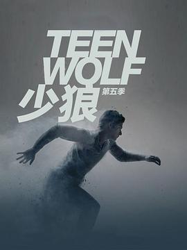 少狼 第五季(2011)海報