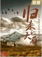 归来的大雁(2022)海报