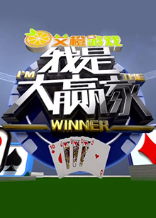 我是大贏家2016(2016)海報