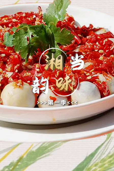 湘当韵味第一季(2013)海报