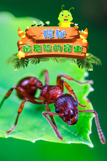 探秘最危險的昆蟲(2024)海報
