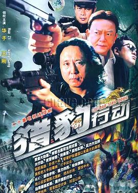 金海岸(1996)海报
