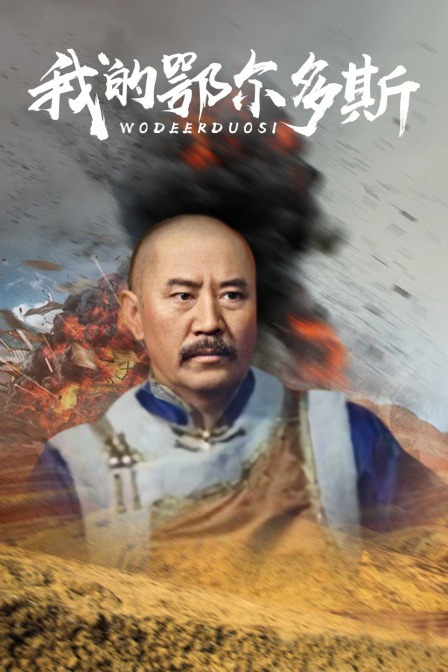 我的鄂爾多斯(2013)海報