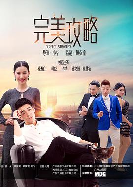 完美攻略(2017)海報
