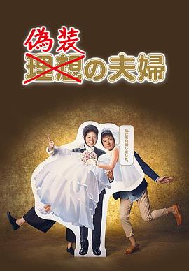 偽裝夫婦2015(2015)海報