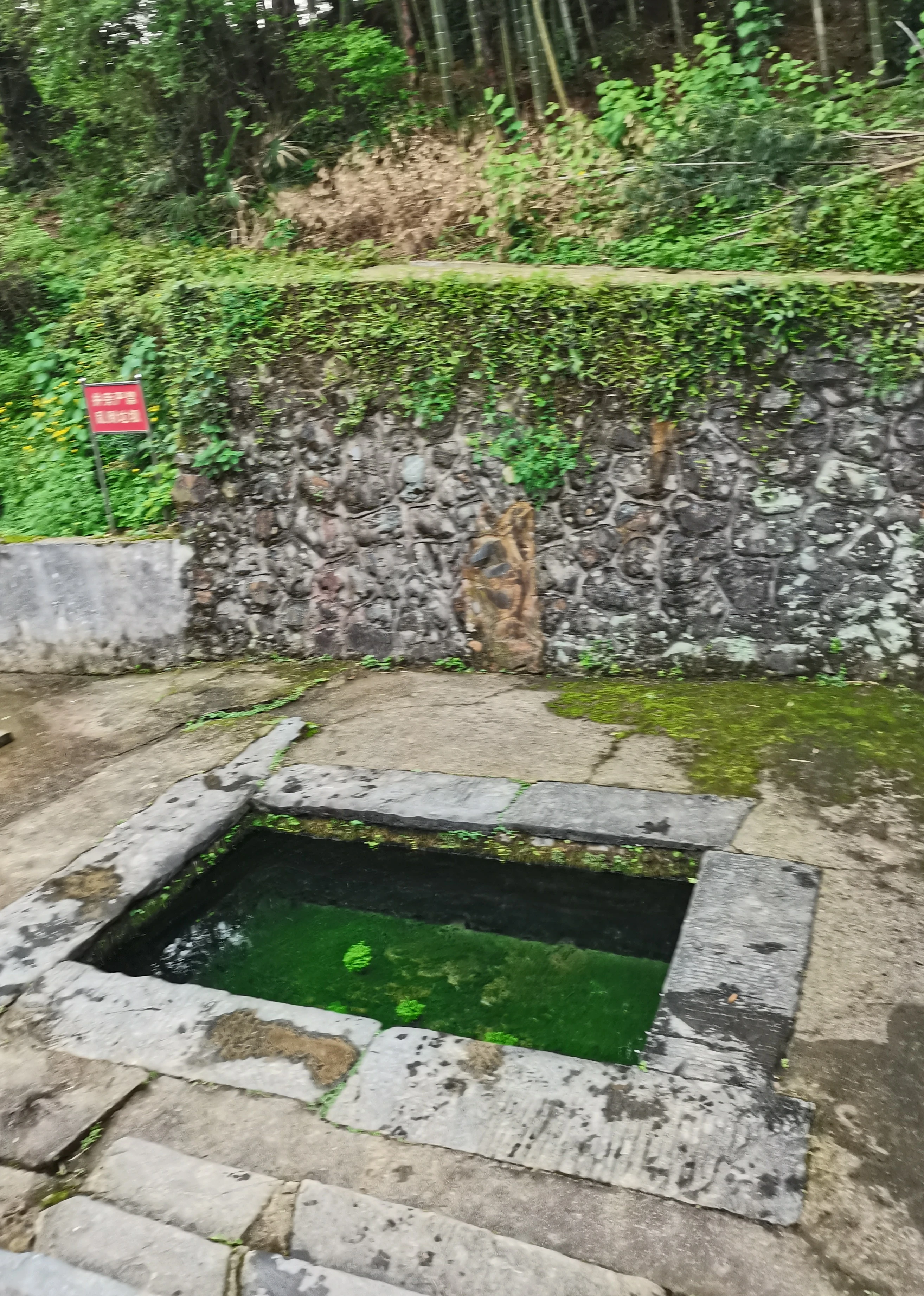 新餘泉井古橋古樹等歷史文化遺存海報