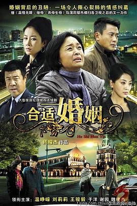 合適婚姻(2010)海報