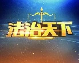 法治天下(2015)海報