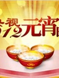 央視2012元宵晚會(2012)海報