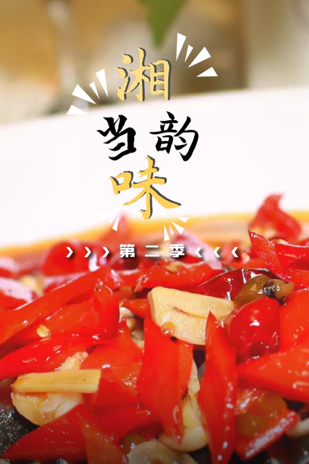 湘当韵味第二季(2013)海报