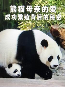 熊貓母親的愛成功繁殖背後的秘密(2018)海報