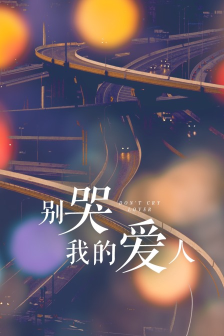 別哭我的愛人(2011)海報