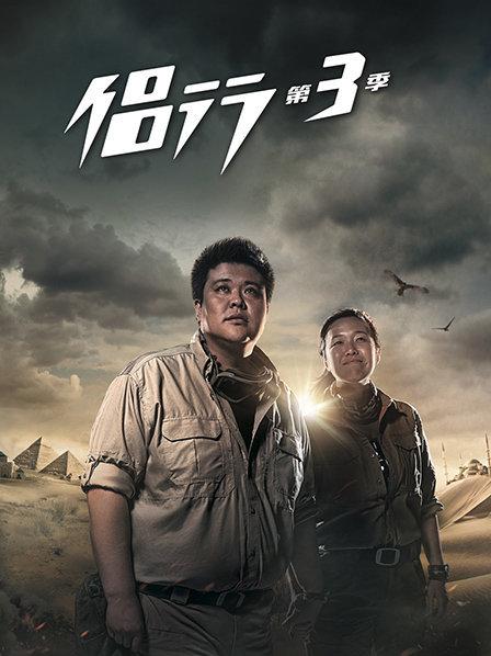 侣行第三季(2013)海报